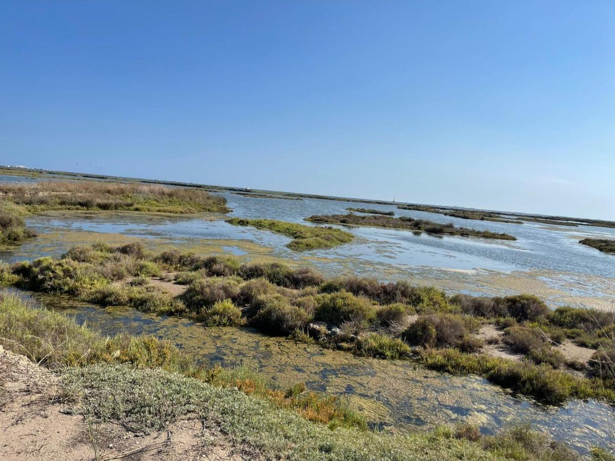 Villa La Calma Del Delta L'Eucaliptus Esterno foto