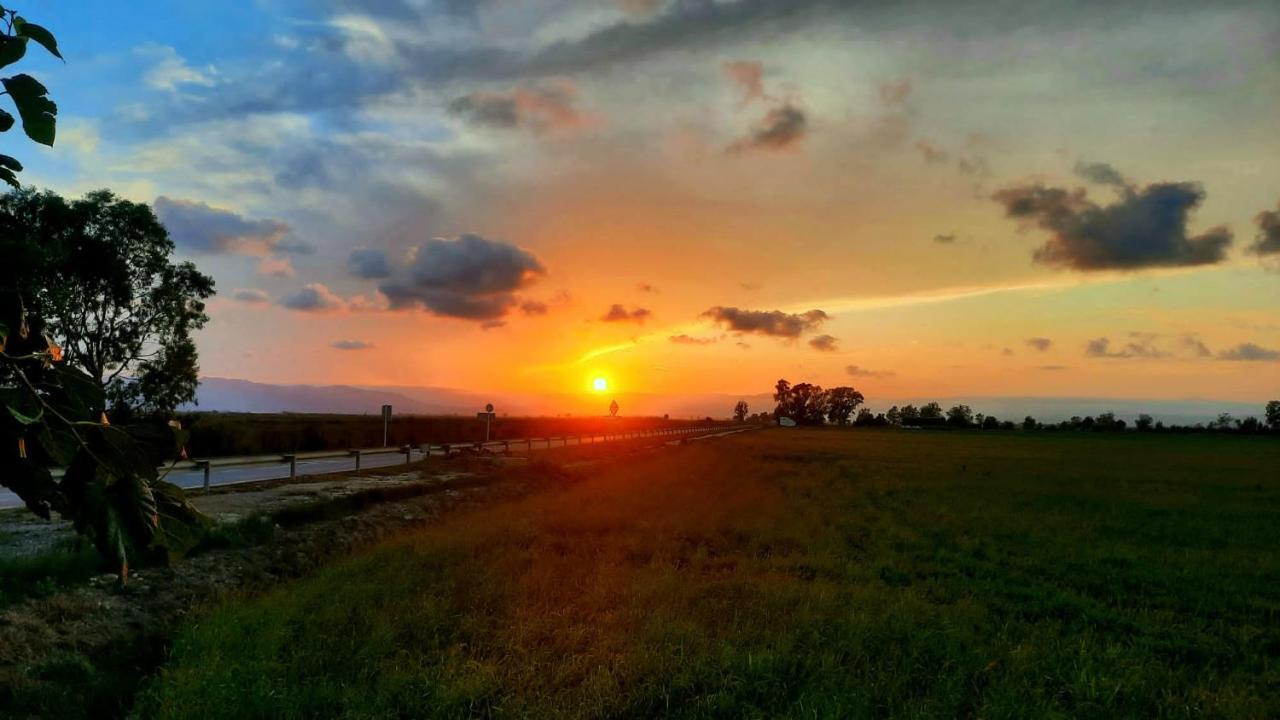 Villa La Calma Del Delta L'Eucaliptus Esterno foto