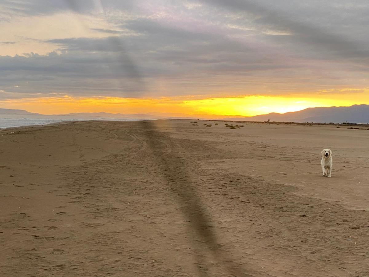 Villa La Calma Del Delta L'Eucaliptus Esterno foto